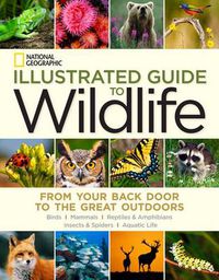Cover image for National Geographic Illustrated Guide to Wildlife: From Your Back Door to the Great Outdoors
