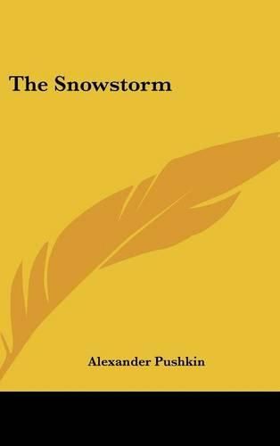 Cover image for The Snowstorm