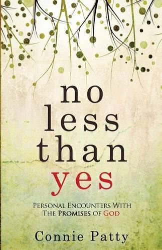 Cover image for No Less Than Yes: Personal Encounters With The Promises of God