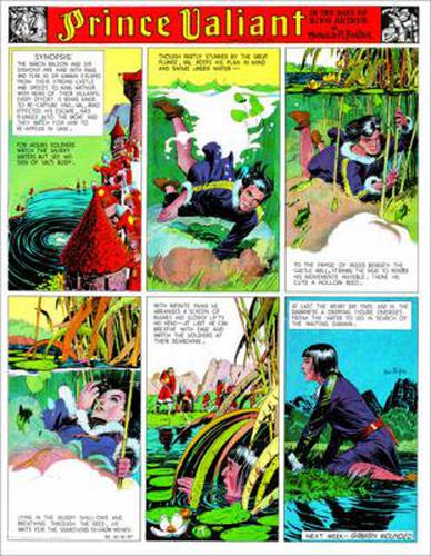 Cover image for Prince Valiant