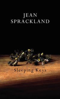 Cover image for Sleeping Keys