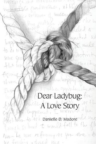 Cover image for Dear Ladybug: A Love Story