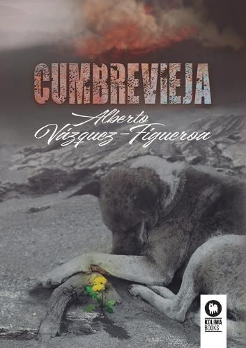 Cover image for Cumbre Vieja