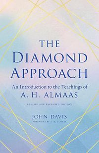 Cover image for The Diamond Approach: An Introduction to the Teachings of A. H. Almaas