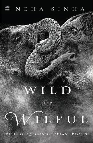 Cover image for Wild And Wilful