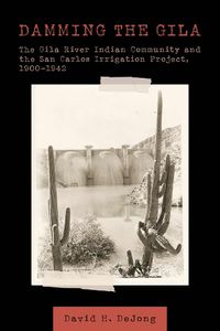 Cover image for Damming the Gila