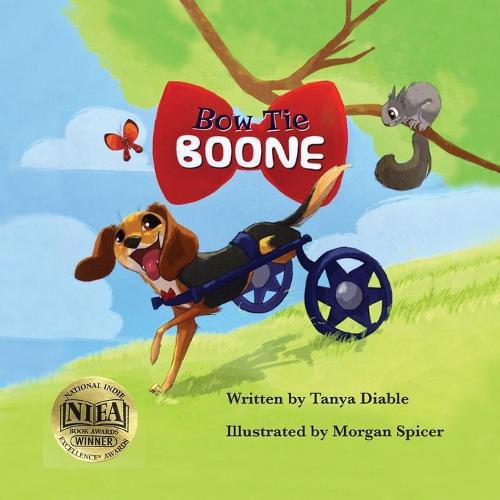 Cover image for Bow Tie Boone