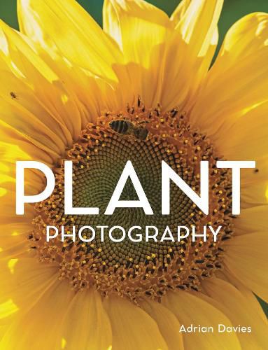 Cover image for Plant Photography