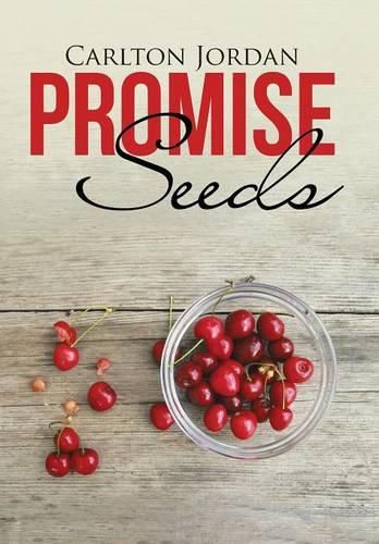 Cover image for Promise Seeds