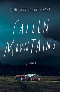 Cover image for Fallen Mountains