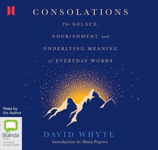 Cover image for Consolations: The Solace, Nourishment and Underlying Meaning of Everyday Words