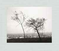 Cover image for Robert Adams: Los Angeles Spring