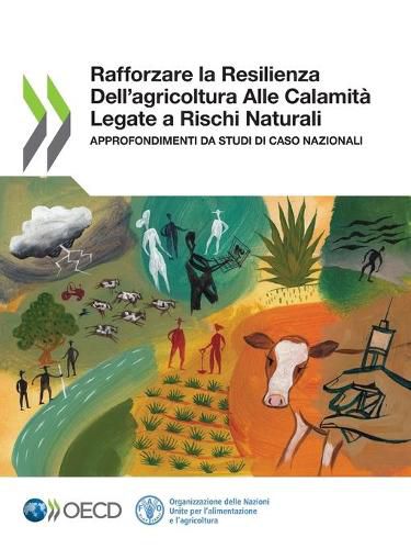 Cover image for Rafforzare La Resilienza Dell'agricoltura Alle Calamita Legate a Rischi Naturali Approfondimenti Da Studi Di Caso Nazionali