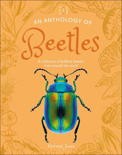 Cover image for An Anthology of Beetles