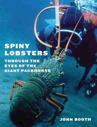 Cover image for Spiny Lobsters: Through the Eyes of the Giant Packhorse