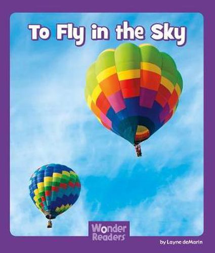 Cover image for To Fly in the Sky