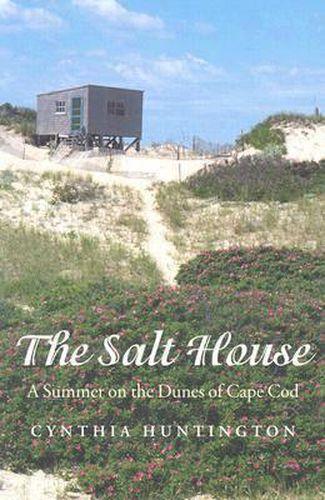 Cover image for The Salt House