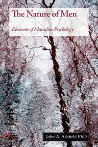 Cover image for The Nature of Men: Elements of Masculine Psychology