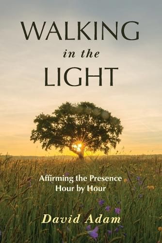 Cover image for Walking in the Light: Affirming the Presence Hour by Hour