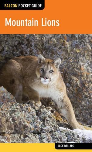 Cover image for Mountain Lions