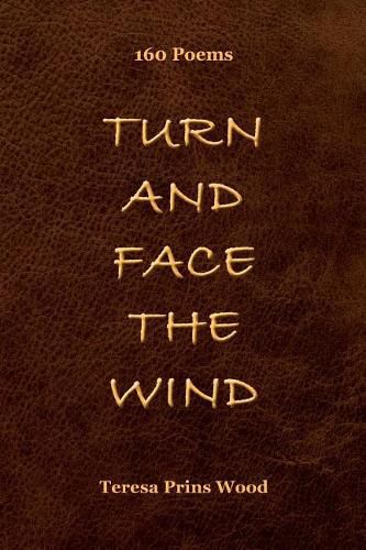 Cover image for Turn And Face The Wind