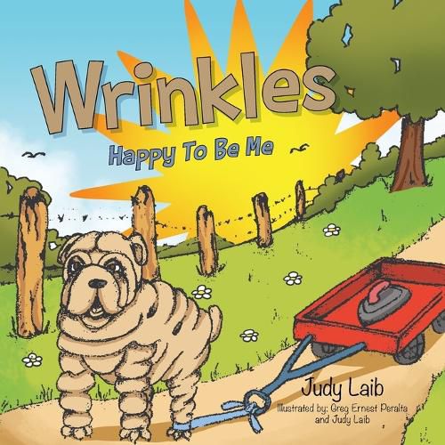 Cover image for Wrinkles