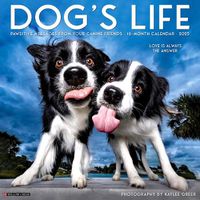 Cover image for Dog's Life 2025 12 X 12 Wall Calendar