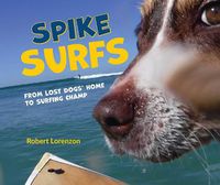 Cover image for Spike Surfs: From Lost Dogs Home to Surfing Champ