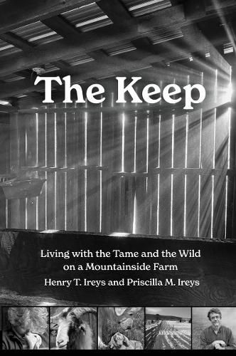 Cover image for The Keep