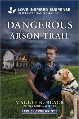 Cover image for Dangerous Arson Trail
