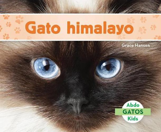 Cover image for Gato Himalayo / Himalayan Cats
