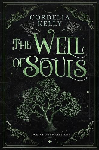 Cover image for The Well of Souls