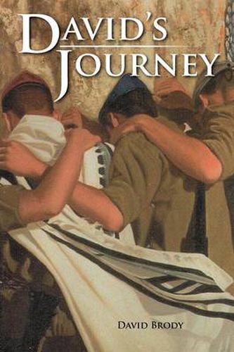 Cover image for David's Journey