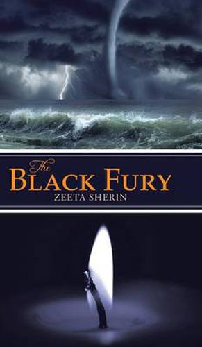 Cover image for The Black Fury