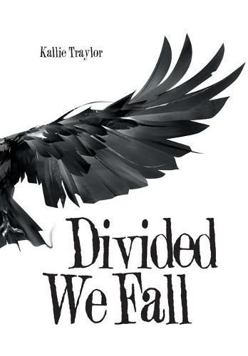 Cover image for Divided We Fall