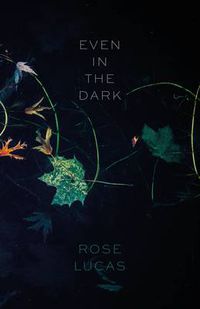 Cover image for Even in the Dark