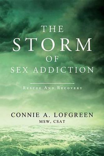 Cover image for The Storm of Sex Addiction: Rescue and Recovery