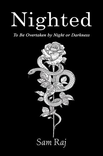 Cover image for Nighted