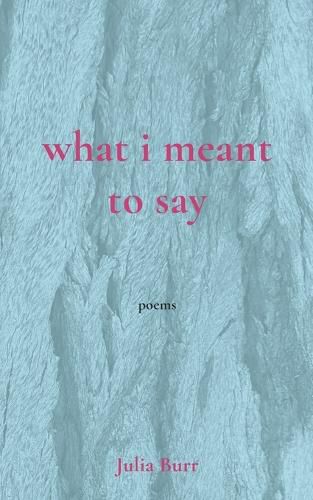 Cover image for what i meant to say
