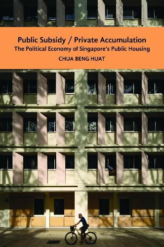 Cover image for The Public Subsidy, Private Accumulation