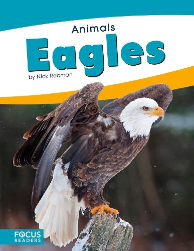 Cover image for Animals: Eagles