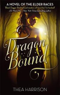 Cover image for Dragon Bound: Number 1 in series