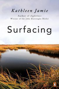 Cover image for Surfacing