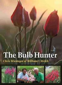 Cover image for The Bulb Hunter