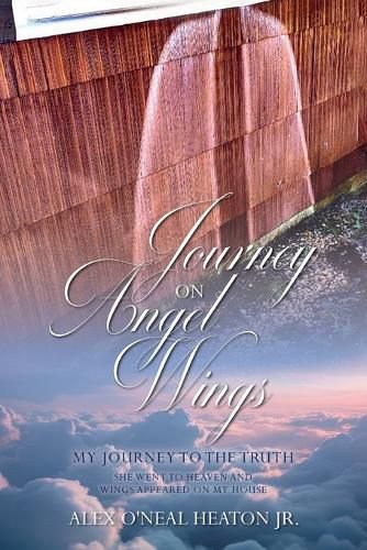 Cover image for Journey on Angel Wings