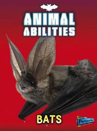 Cover image for Bats