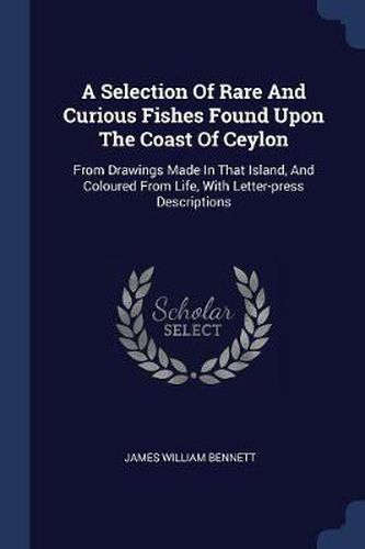 Cover image for A Selection of Rare and Curious Fishes Found Upon the Coast of Ceylon: From Drawings Made in That Island, and Coloured from Life, with Letter-Press Descriptions