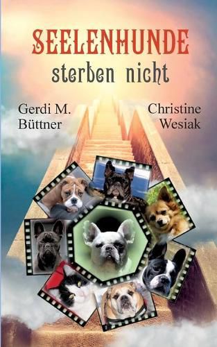 Cover image for Seelenhunde sterben nicht