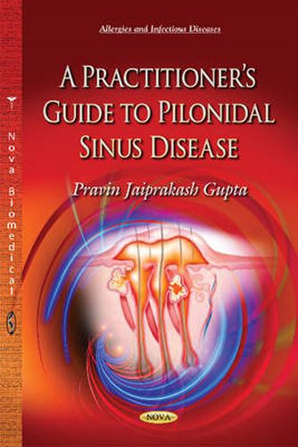 Cover image for Practitioners Guide to Pilonidal Sinus Disease