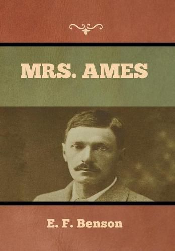 Cover image for Mrs. Ames